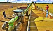 La escasez de diésel frena la cosecha agrícola en el Sur