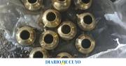 Las cámaras de seguridad pescaron a un ladrón que ingresó a una fábrica de alimentos y se llevó acoples de bronce