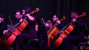 Semana cultural en Córdoba: una semana de cine, danza y música para todos los gustos