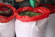 Guardia municipal realiza operativos en tiendas que venden coca en Tarija durante la madrugada