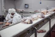 Ferrari: “El esquema económico te fuerza a no producir”