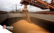 Las declaraciones de ventas al exterior de soja cayeron un 97%