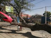 Fuertes vientos afectarán a Tarija, La Paz, Oruro y Potosí