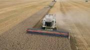 “El productor cobra 30% menos por la soja que su par brasileño y paga maquinaria más cara”