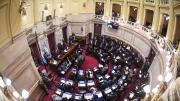 Homenaje al papa Francisco en el Senado: “comunismo”, “las fuerzas del cielo” y críticas a los fotógrafos, las particularidades del homenaje