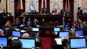 El Senado le rinde homenaje al papa Francisco