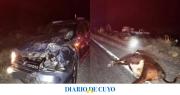 Tres camionetas chocaron contra dos vacas en la ruta 40