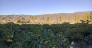 Puchuzun, el hogar de la tranquilidad y la belleza de las simples cosas