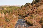 Villa Pehuenia Moquehue: un cuento mágico en otoño, lleno de sabores y colores