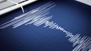 Fuerte temblor afectó a Mendoza con una magnitud de 5 grados