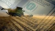 Dólares: prevén que el sector agropecuario podría generar exportaciones adicionales por u$s17.000 millones