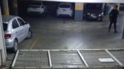Video: las torres del Procrear fueron escenario de otro robo en plena madrugada