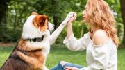 Cómo ganarte la confianza de tu perro, según la ciencia veterinaria