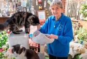 Tiene 90 años, trabaja y esta es su motivación para seguir rescatando animales