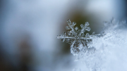 Alerta de nieve: bajas temperaturas llegan a esta provincia este jueves 1 de mayo