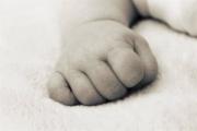 Encuentran a un neonato en el municipio de Viacha que estaba siendo devorado por canes