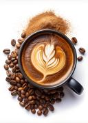 Curso Intensivo de Barista en Neuquén: descubrí los secretos del café de especialidad