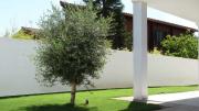 Cuánto aumenta el valor de una casa al tener un jardín cuidado