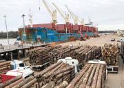 En enero y febrero, la venta de madera al exterior creció un 41%