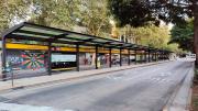 Primer desafío para Luis Pierrini: desactivar el paro de colectivos del próximo martes
