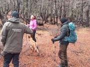 Rescataron a dos mujeres que habían desaparecido en una excursión en El Bolsón: Pasaron dos noches en la montaña a bajísima temperatura