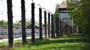 Alemania recuerda la liberación de Dachau con la promesa de defender democracia y memoria 