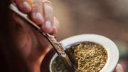 Crisis en la yerba mate: cosecha mínima histórica y un futuro incierto para los productores