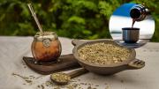 Mate con un poco de café: los beneficios de tomar esta infusión energizante