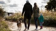 Revoltoso, pero leal: la raza de perro pequeño que es ideal para sumar a tu familia