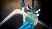 Brote de fiebre tifoidea en Ciudadela: 17 casos, un posible fallecido y un tanque de agua bajo sospecha