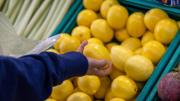 Ni frutero ni papel de diario: así debes guardar tus limones para que duren frescos y jugosos hasta 30 días