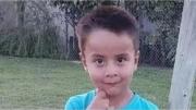 Un hermano de Loan denunció que el último abogado de la familia se quedó con $12,5 millones para pericias