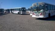 Paro total de colectivos afecta a Comodoro Rivadavia y Rada Tilly