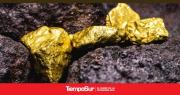 El Precio del Oro: Una Mirada Actual