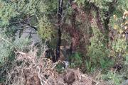 Desplome en la Ruta 40: un auto se despistó y cayó al agua cerca de El Bolsón