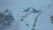 Pino Hachado cerrado por nieve este martes: la ruta entre Neuquén y Chile quedó intransitable