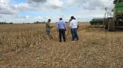 Gobierno reabre exportaciones de soya; se podrán vender hasta 250 mil toneladas