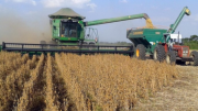 Gobierno autoriza exportación de hasta 250 mil toneladas de soya tras presión del sector productivo