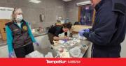 Investigan la causa de abortos espontáneos de guanacos en el PN Los Glaciares