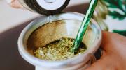 Cayó la producción de yerba y las ventas tocaron su nivel más bajo en 8 años