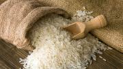¿Peligra el arroz?: el 17% de los productores en Entre Ríos abandonarían la producción