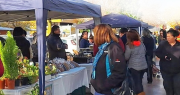 Vuelve la feria de frutas y verduras a un departamento del sur sanjuanino