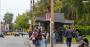 Desde el lunes, modifican los recorridos de dos líneas clave de la Red Tulum