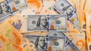 Cae el dólar en el Banco Nación: el precio con el que abrirá este viernes 9 de mayo