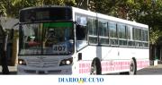 Informaron sobre cambios en los recorridos de las líneas 407 y 408