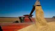 “El agro en general viene de dos años complejos en términos de márgenes”