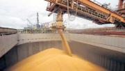 De enero a marzo crecieron las exportaciones agropecuarias