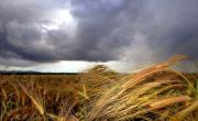 Prevén un invierno más cálido de lo habitual en territorio bonaerense