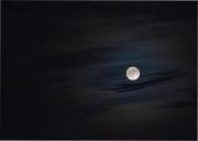 Este lunes, la luna se hará pequeña: ¿de qué se trata el fenómeno?