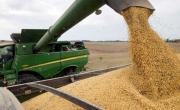 Récord de ventas de soja: el Gobierno celebra el repunte comercial